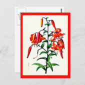 Briefkaart-Botanicals-Pierre Joseph Redoute 4 Briefkaart (Voorkant / Achterkant)