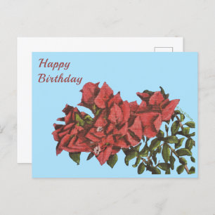 Briefkaart Bougainvillea