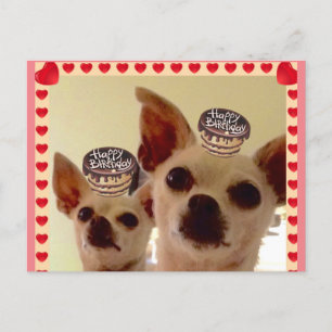 BRIEFKAART- BRIEFKAART