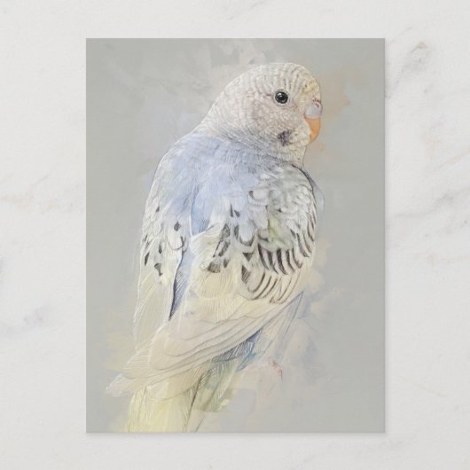 Briefkaart Budgies No.7 (Voorkant)