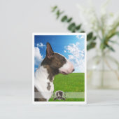 Briefkaart Bullshier 2011 (Staand voorkant)