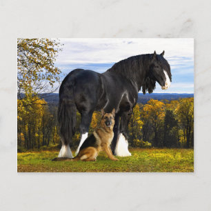 briefkaart "Butch and Blackbird"