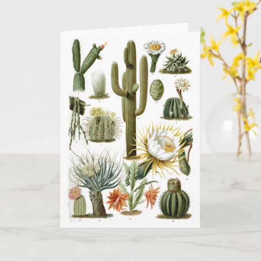 Briefkaart  Cactus Chart (Gele Bloem)