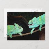 Briefkaart Chameleon (Voorkant / Achterkant)