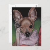 Briefkaart Chihuahua (Voorkant / Achterkant)