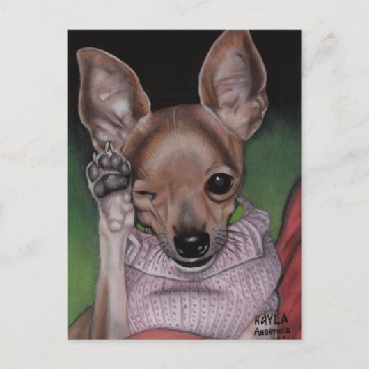 Briefkaart Chihuahua (Voorkant)