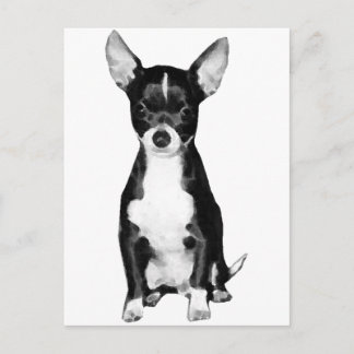 Briefkaart Chihuahua