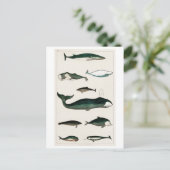 briefkaart " COLLECTIE" (Staand voorkant)