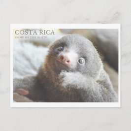 Briefkaart Costa Rica souvenir
