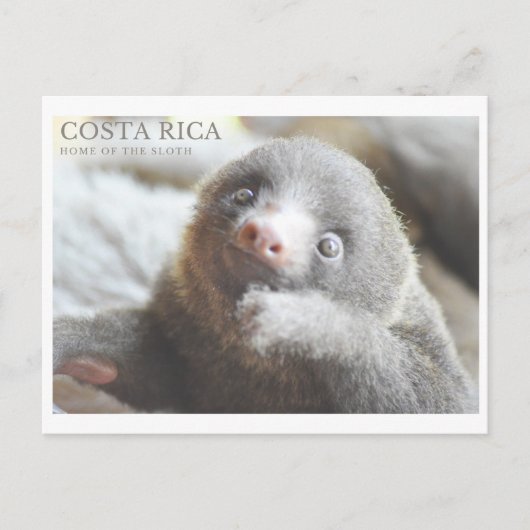 Briefkaart Costa Rica souvenir  (Voorkant)