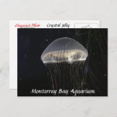 Briefkaart:  Crystal Jelly Briefkaart (Voorkant / Achterkant)