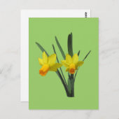 Briefkaart - Daffodil (Voorkant / Achterkant)