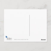 briefkaart "Daffodils - the joys of spring" (Achterkant)