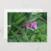 Briefkaart Datum opslaan (Voorkant / Achterkant)