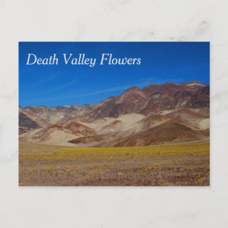 Briefkaart Death Valley Flowers