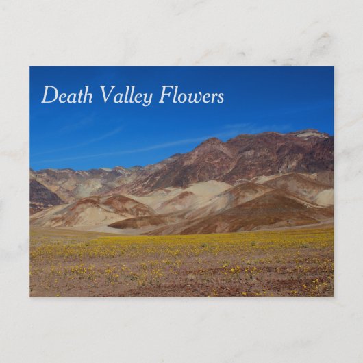 Briefkaart Death Valley Flowers (Voorkant)