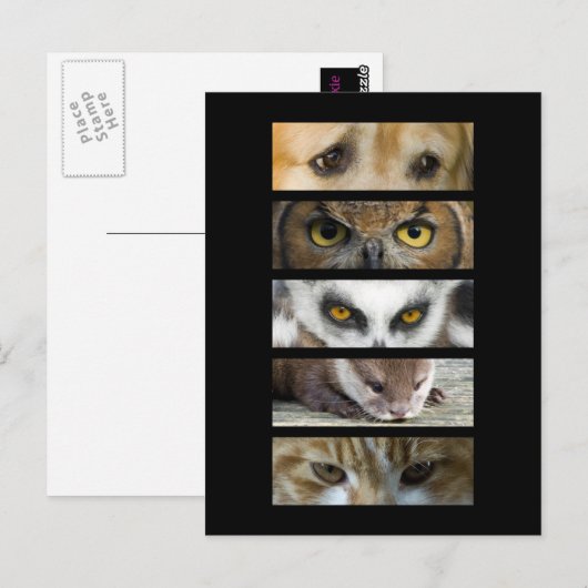 Briefkaart - Dierogen (Voorkant / Achterkant)