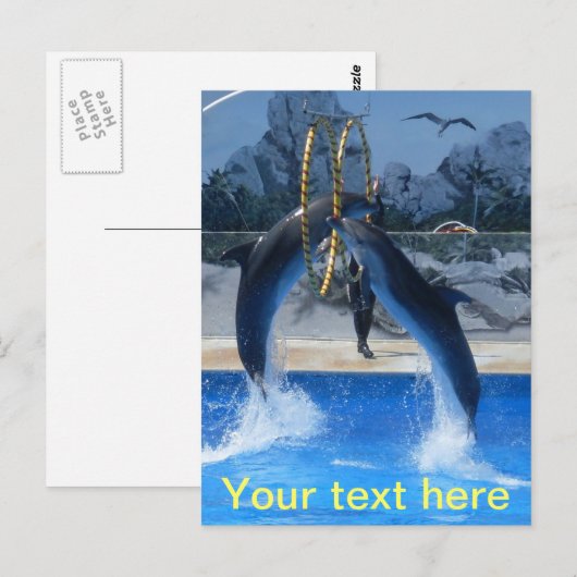 Briefkaart dolfijn (Voorkant / Achterkant)