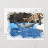 Briefkaart Dolphin Tricks (Voorkant / Achterkant)