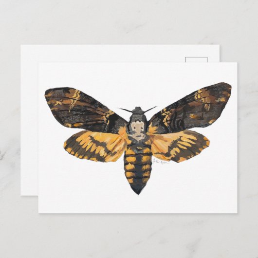 Briefkaart Doodshoofdmot (Voorkant / Achterkant)