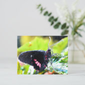 Briefkaart/Doris Longwing Butterfly Briefkaart (Staand voorkant)