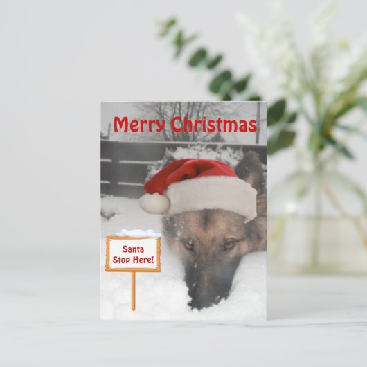Briefkaart Duitse herder Kerstman Stop Hier Teken (Staand voorkant)