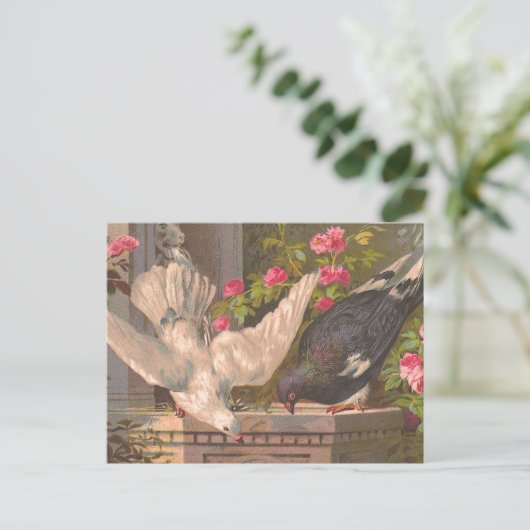  Briefkaart "Duiven en Witte Dove" (Staand voorkant)