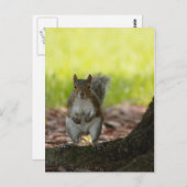 Briefkaart eekhoorn (Voorkant / Achterkant)