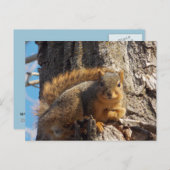 Briefkaart eekhoorn (Voorkant / Achterkant)