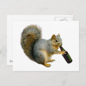 Briefkaart eekhoornvaten (Voorkant / Achterkant)