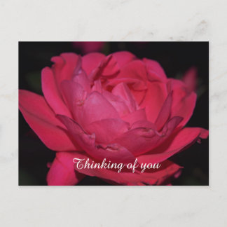 Briefkaart. Een roos met een andere naam Briefkaart