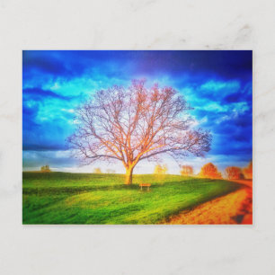 Briefkaart eikenboom