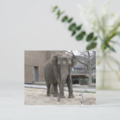 BRIEFKAART ELEPHANT (Staand voorkant)