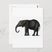 BRIEFKAART ELEPHANT (Voorkant / Achterkant)