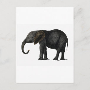  BRIEFKAART ELEPHANT
