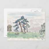 Briefkaart Engels landland (Voorkant / Achterkant)