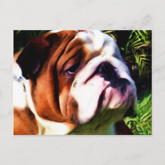 Briefkaart Engelse Bulldog