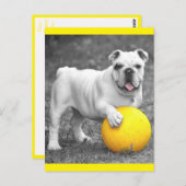Briefkaart Engelse Bulldog Puppy Dog (Voorkant / Achterkant)