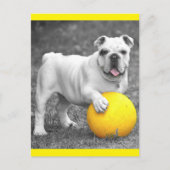 Briefkaart Engelse Bulldog Puppy Dog (Voorkant)
