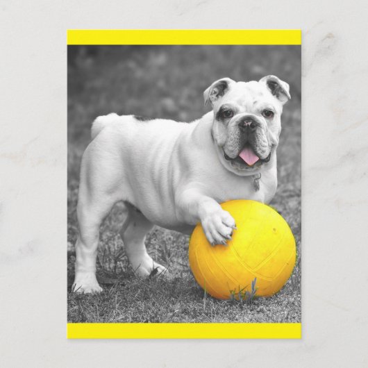 Briefkaart Engelse Bulldog Puppy Dog (Voorkant)