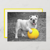 Briefkaart Engelse Bulldog Puppy Dog (Voorkant / Achterkant)