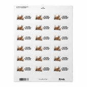 Briefkaart Etiket (Full Sheet)
