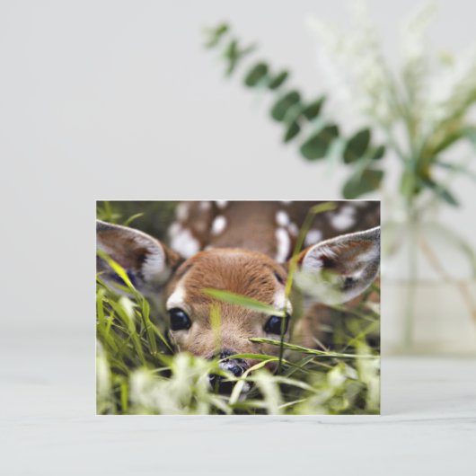 Briefkaart - Fawn (Staand voorkant)