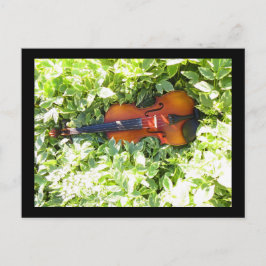 Briefkaart Fiddle en Ivy Violin-kaart