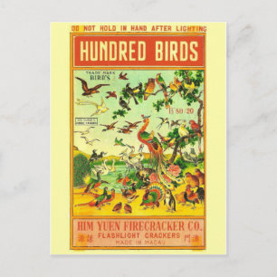 Briefkaart  Firecracker-pakket