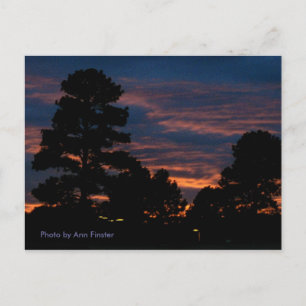 Briefkaart / Flagstaff zonsondergang