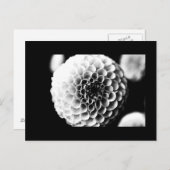 Briefkaart-Flowers-51 Briefkaart (Voorkant / Achterkant)