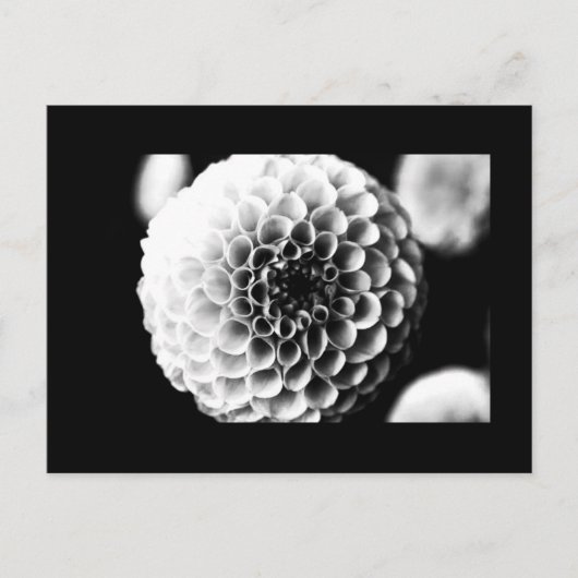 Briefkaart-Flowers-51 Briefkaart (Voorkant)