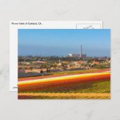Briefkaart Flowers Fields Carlsbad, CA (Voorkant / Achterkant)