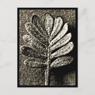 Briefkaart- fotografie-Karl Blossfeldt 41 Briefkaart